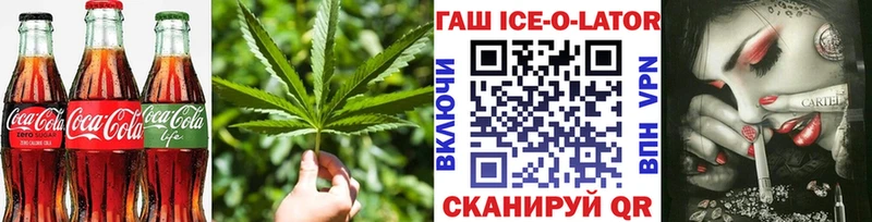 Canna-Cookies марихуана  магазин продажи   дарк нет состав  Александров 