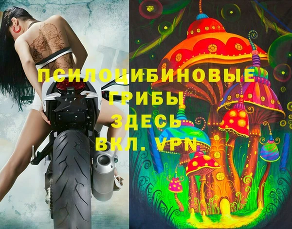 PSILOCYBIN Покачи