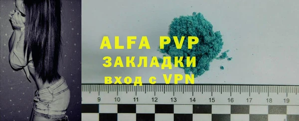 PSILOCYBIN Покачи
