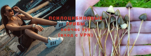 PSILOCYBIN Покачи