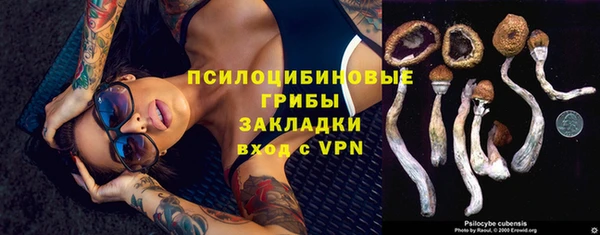 PSILOCYBIN Покачи