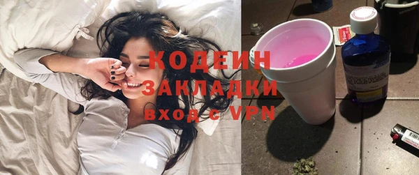 шишки Покров