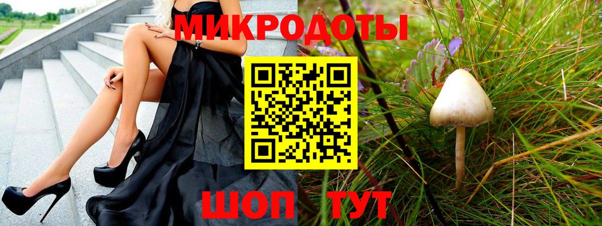 Галлюциногенные грибы Cubensis Александров